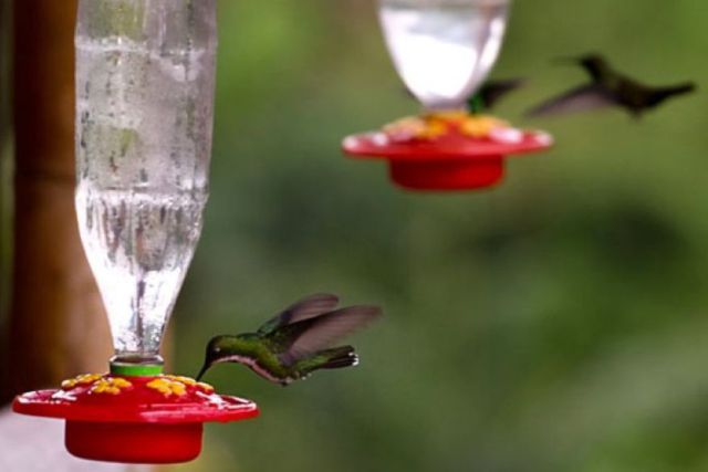 daily picdump 100 pics 38.html - 100 HD Photos | Premium Gallery 2011