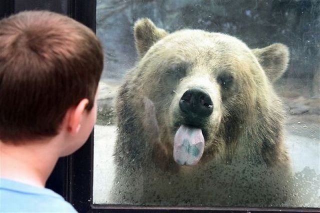 morning picdump 60 pics 24.html - 60 HD Photos | Premium Gallery 2011