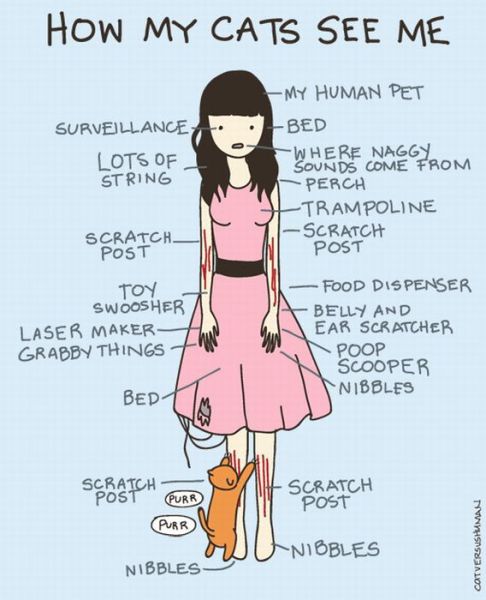 morning picdump 60 pics 24.html - 60 HD Photos | Premium Gallery 2011