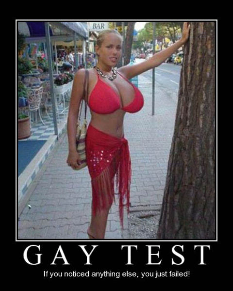 Demotivational Posters Test If You’re Gay