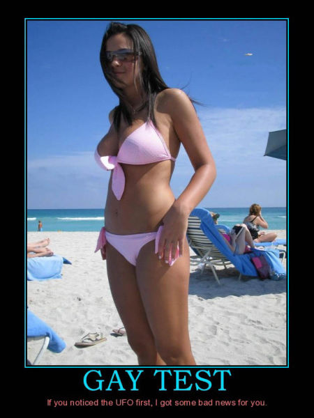 Demotivational Posters Test If You’re Gay
