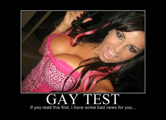 Demotivational Posters Test If You’re Gay