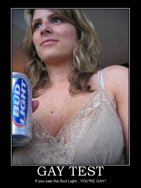 Demotivational Posters Test If You’re Gay