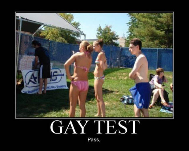 Demotivational Posters Test If You’re Gay