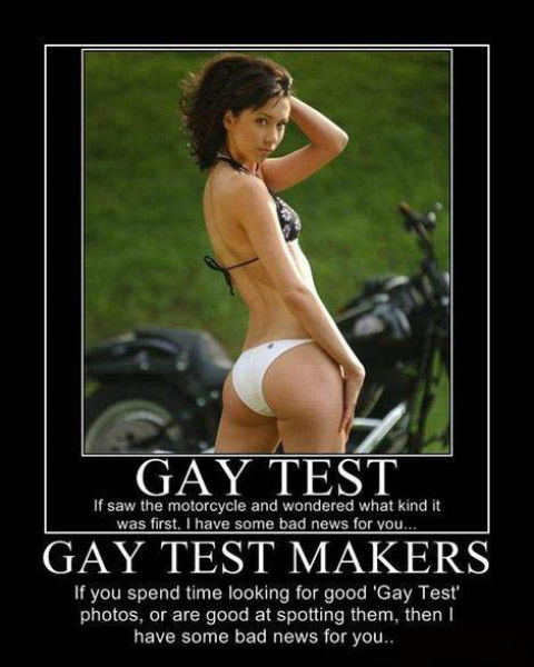 Demotivational Posters Test If You’re Gay