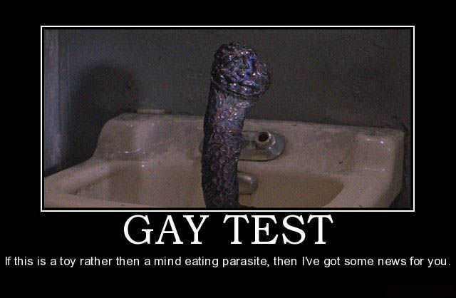 Demotivational Posters Test If You’re Gay