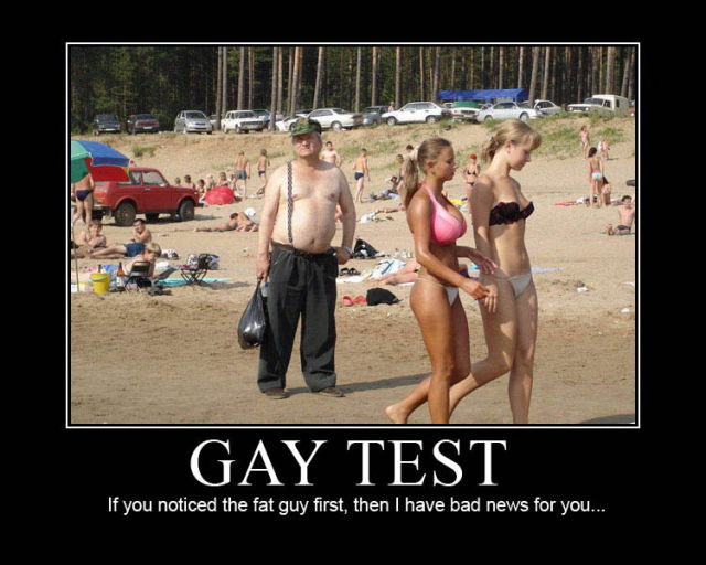 Demotivational Posters Test If You’re Gay