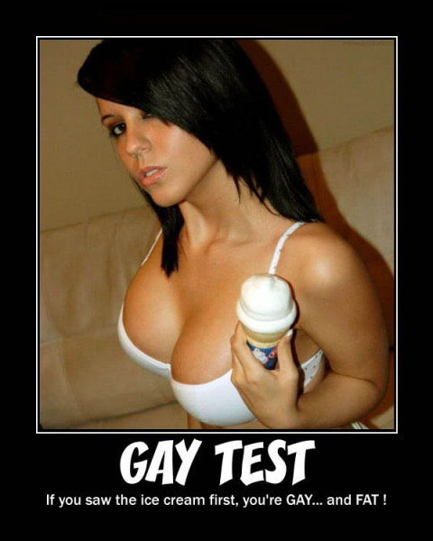 Demotivational Posters Test If You’re Gay
