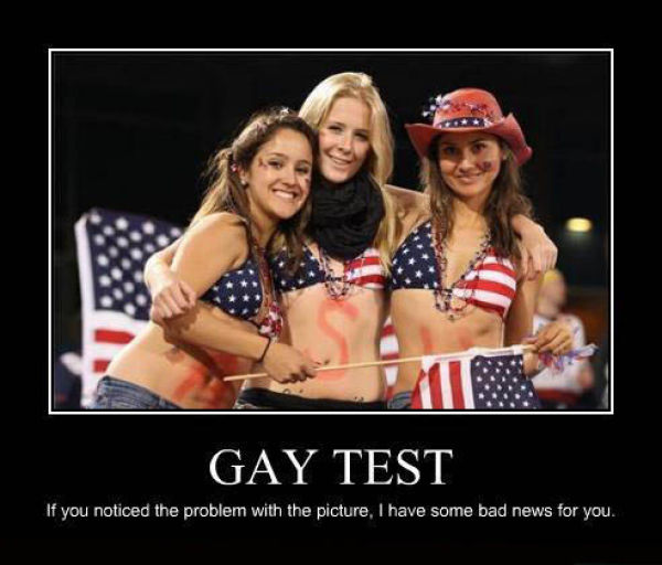 Demotivational Posters Test If You’re Gay