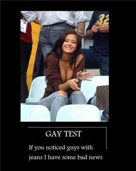 Demotivational Posters Test If You’re Gay
