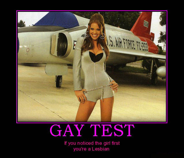 Demotivational Posters Test If You’re Gay