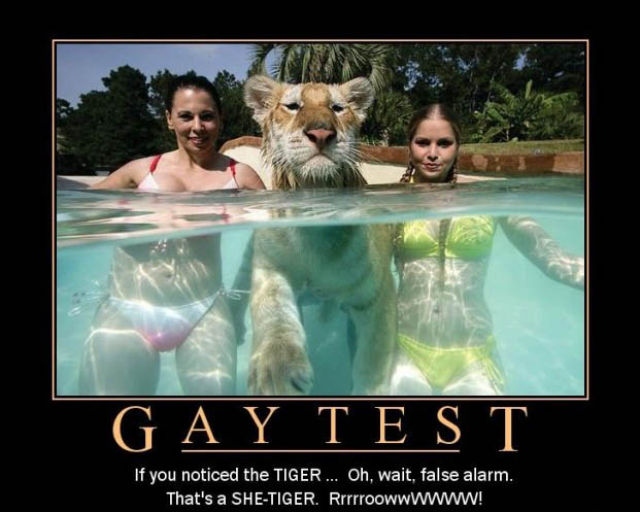 Demotivational Posters Test If You’re Gay