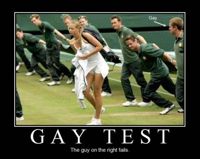 Demotivational Posters Test If You’re Gay
