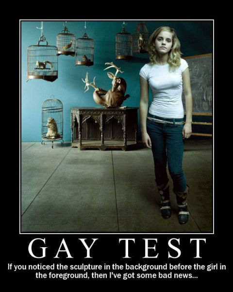 Demotivational Posters Test If You’re Gay