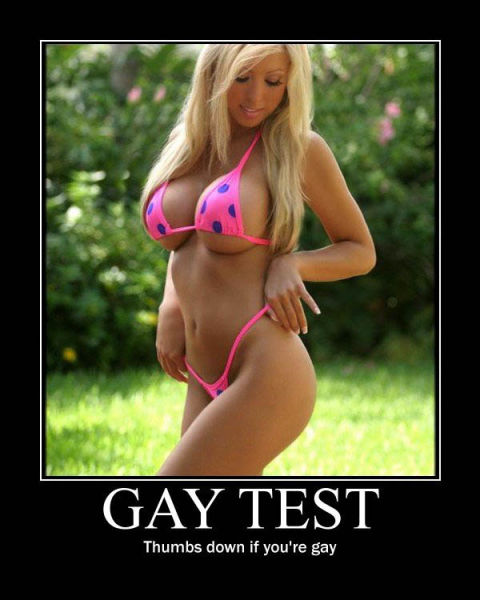 Demotivational Posters Test If You’re Gay