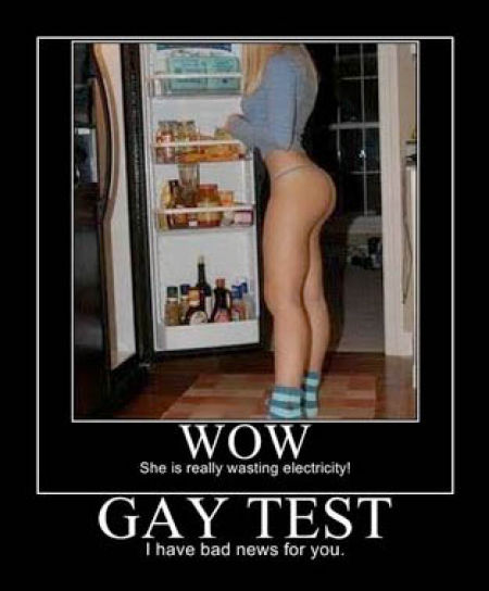 Demotivational Posters Test If You’re Gay