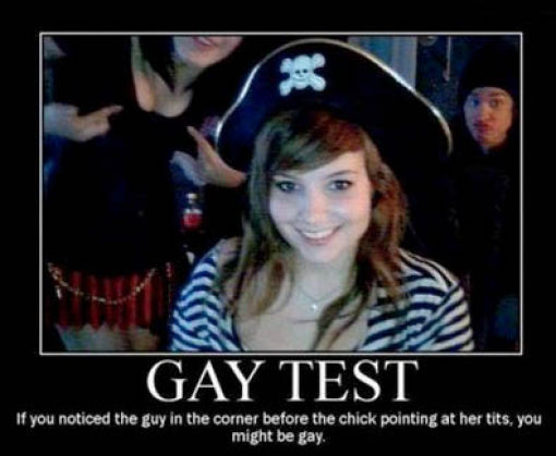 Demotivational Posters Test If You’re Gay
