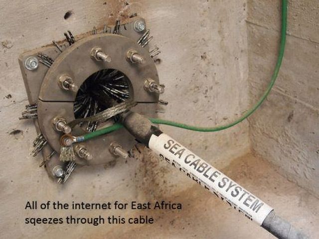 morning picdump 63 pics 14.html - 63 HD Photos | Premium Gallery 2011