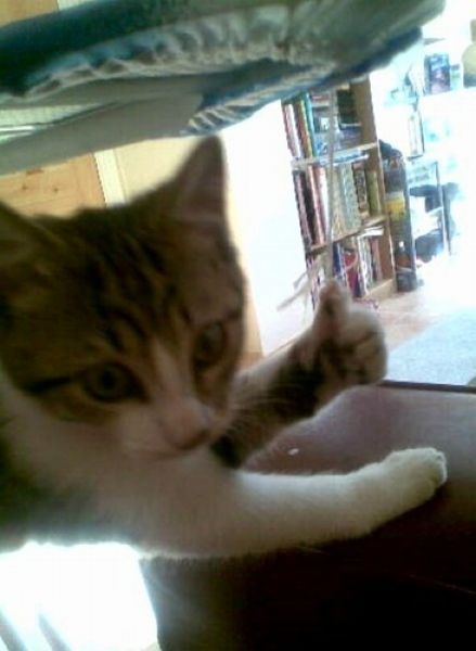 morning picdump 63 pics 14.html - 63 HD Photos | Premium Gallery 2011