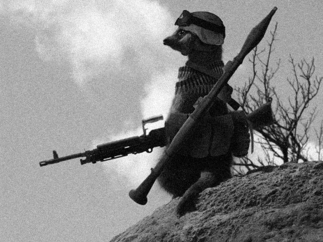 morning picdump 63 pics 14.html - 63 HD Photos | Premium Gallery 2011