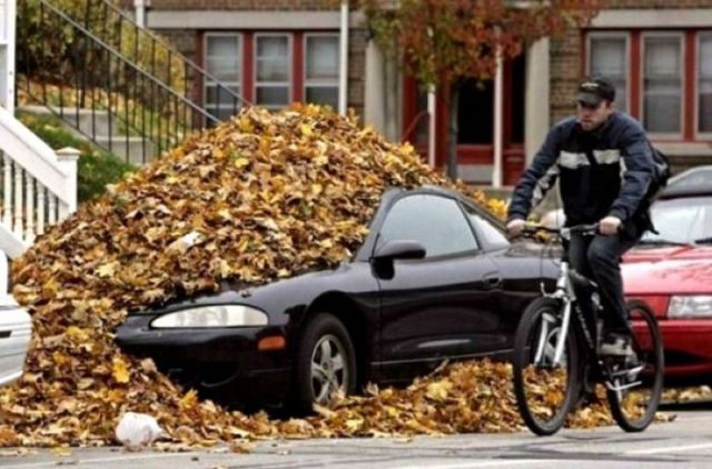 morning picdump 74 pics 35.html - 74 HD Photos | Premium Gallery 2011