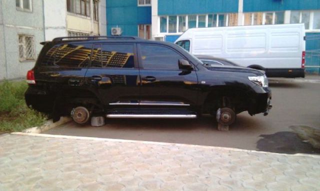 morning picdump 74 pics 35.html - 74 HD Photos | Premium Gallery 2011