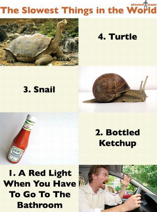 morning picdump 74 pics 35.html - 74 HD Photos | Premium Gallery 2011