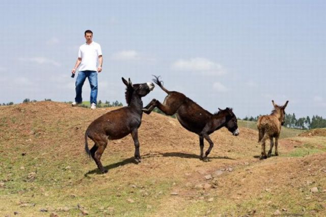 morning picdump 61 pics 5.html - 61 HD Photos | Premium Gallery 2011