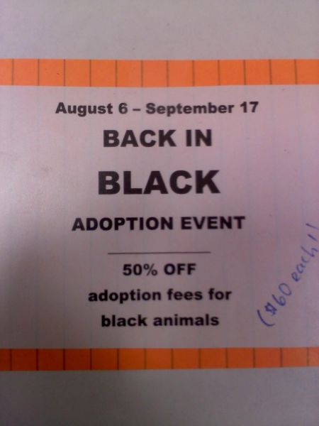 morning picdump 61 pics 5.html - 61 HD Photos | Premium Gallery 2011