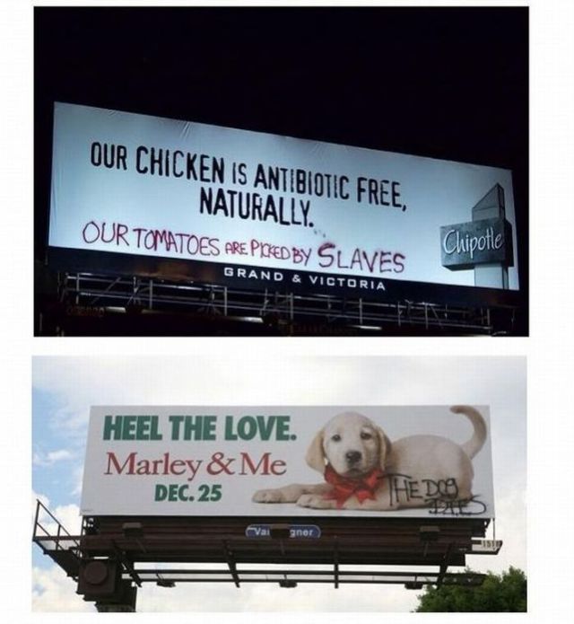 morning picdump 61 pics 5.html - 61 HD Photos | Premium Gallery 2011