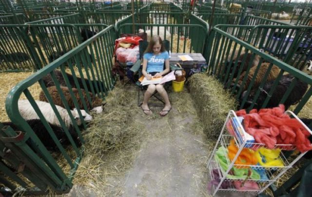 morning picdump 54 pics 21.html - 54 HD Photos | Premium Gallery 2011