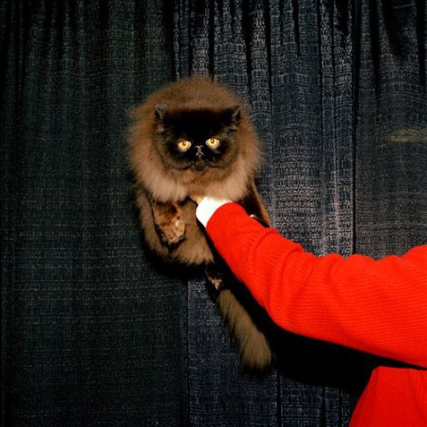 morning picdump 60 pics 7.html - 60 HD Photos | Premium Gallery 2011