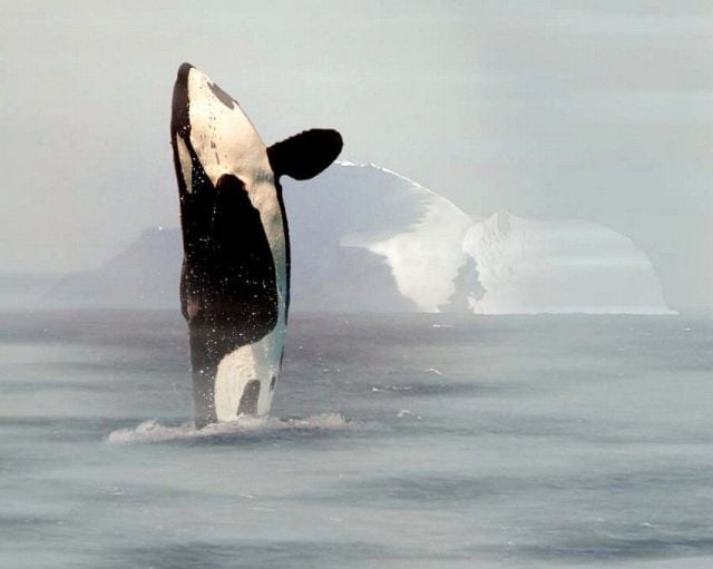 morning picdump 60 pics 17.html - 60 HD Photos | Premium Gallery 2011