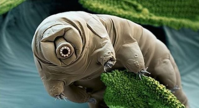 morning picdump 60 pics 17.html - 60 HD Photos | Premium Gallery 2011