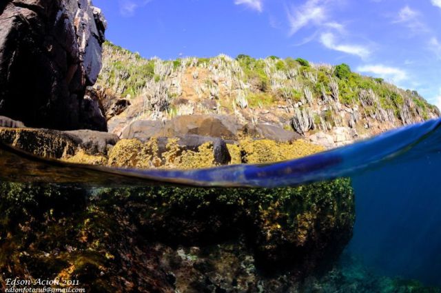 morning picdump 58 pics 13.html - 58 HD Photos | Premium Gallery 2011