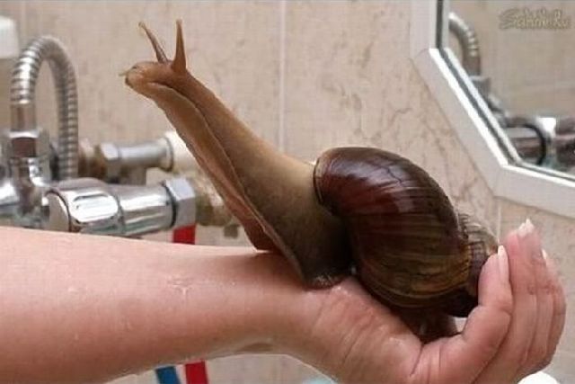 morning picdump 67 pics 33.html - 67 HD Photos | Premium Gallery 2011