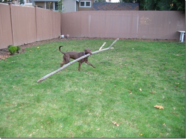 morning picdump 67 pics 33.html - 67 HD Photos | Premium Gallery 2011