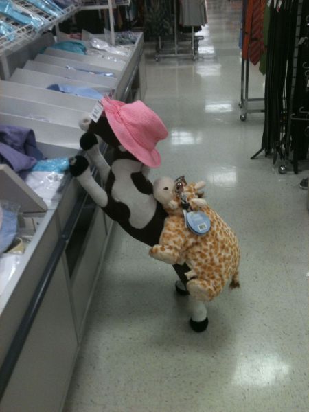 morning picdump 67 pics 33.html - 67 HD Photos | Premium Gallery 2011