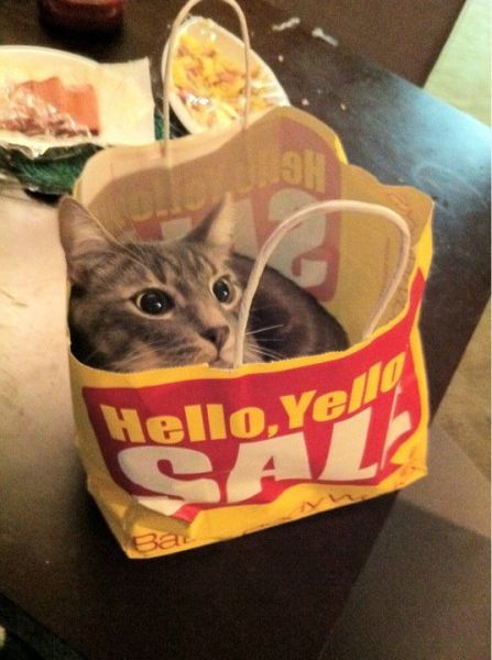 morning picdump 67 pics 33.html - 67 HD Photos | Premium Gallery 2011