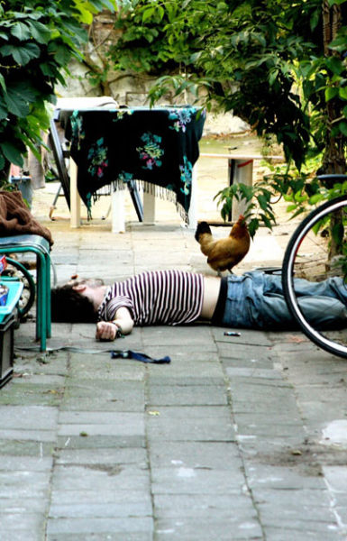 Hilarious Drunk Off Their Ass Photos