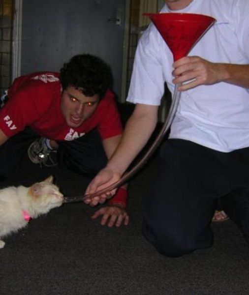 Hilarious Drunk Off Their Ass Photos