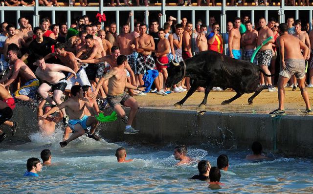 Hilarious Photos Taken at the Perfect Time