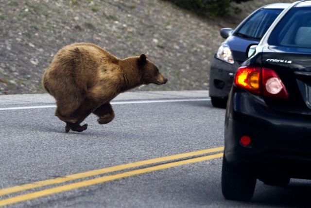 Hilarious Photos Taken at the Perfect Time