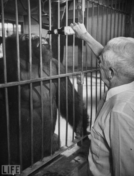 morning picdump 55 pics 2.html - 55 HD Photos | Premium Gallery 2011