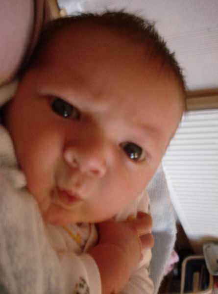 morning picdump 55 pics 2.html - 55 HD Photos | Premium Gallery 2011