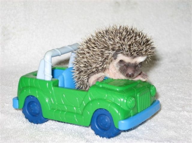 morning picdump 55 pics 2.html - 55 HD Photos | Premium Gallery 2011