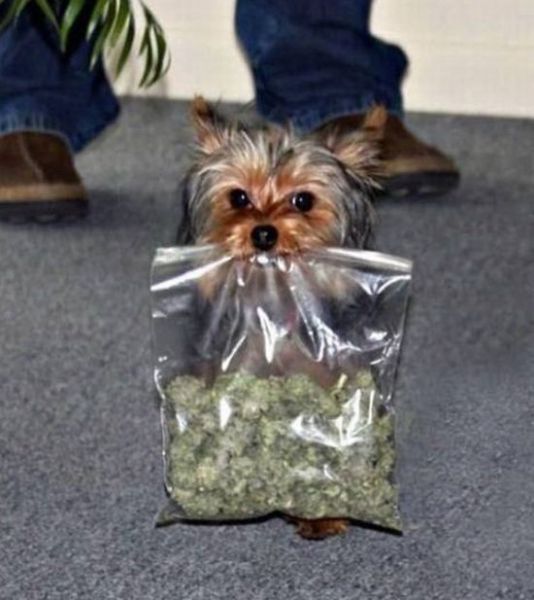 morning picdump 67 pics 4.html - 67 HD Photos | Premium Gallery 2011