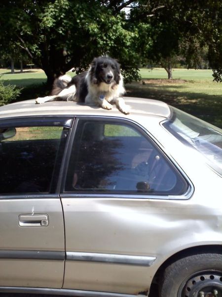 morning picdump 67 pics 4.html - 67 HD Photos | Premium Gallery 2011