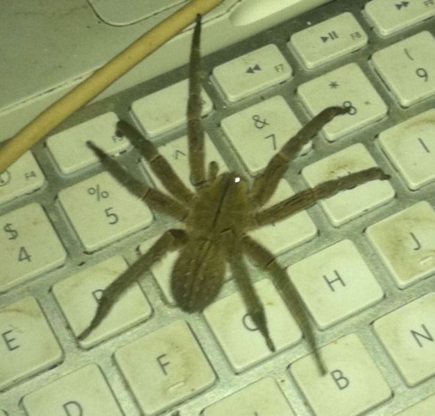 morning picdump 67 pics 4.html - 67 HD Photos | Premium Gallery 2011