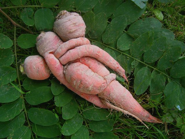 morning picdump 67 pics 4.html - 67 HD Photos | Premium Gallery 2011